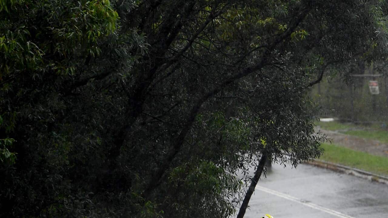 More severe weather is expected in Sydney as an east coast low-pressure system moves down from south-east Queensland and northern NSW.