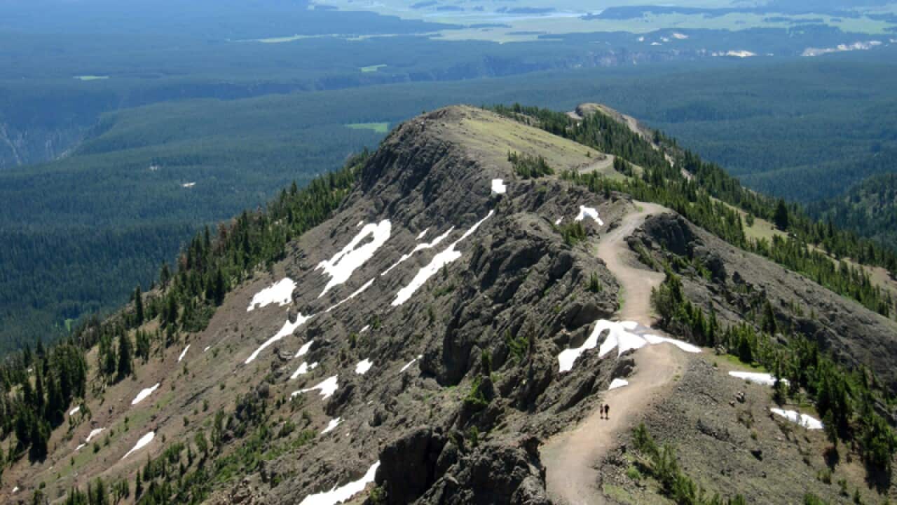View from Mount Washburn in Yellowstone National Park