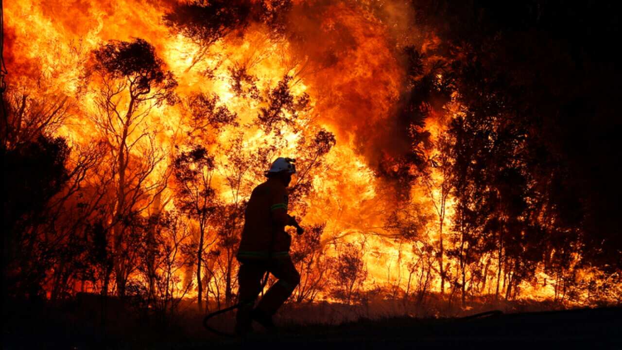 Bushfire