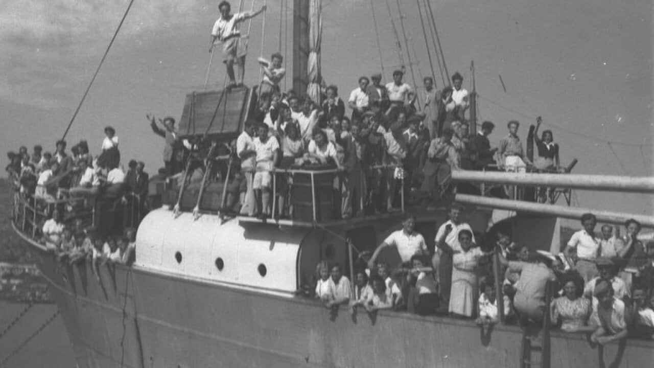 IMMIGRANT SHIP "DOV HOZ" ARRIVING AT THE HAIFA PORT FROM ITALY.אוניית המעפילים "דב הוז" מגיעה לנמל חיפה מאיטליה.