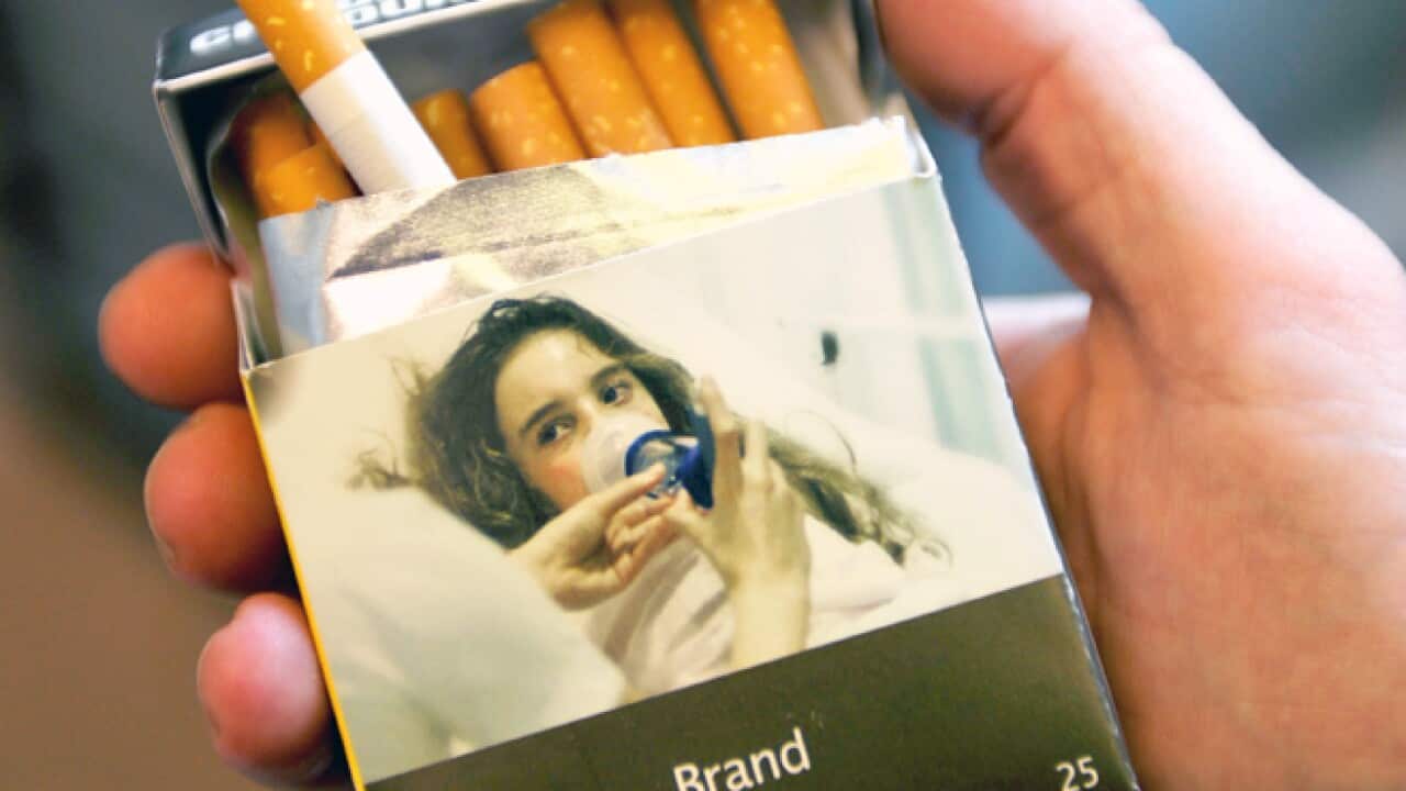smoking cigarettes lung cancer Cigarette Smoking Is the Main Cause of Lung Cancer smoking cigarettes lung cancer Cigarette Smoking Is the Main Cause of Lung Cancer
