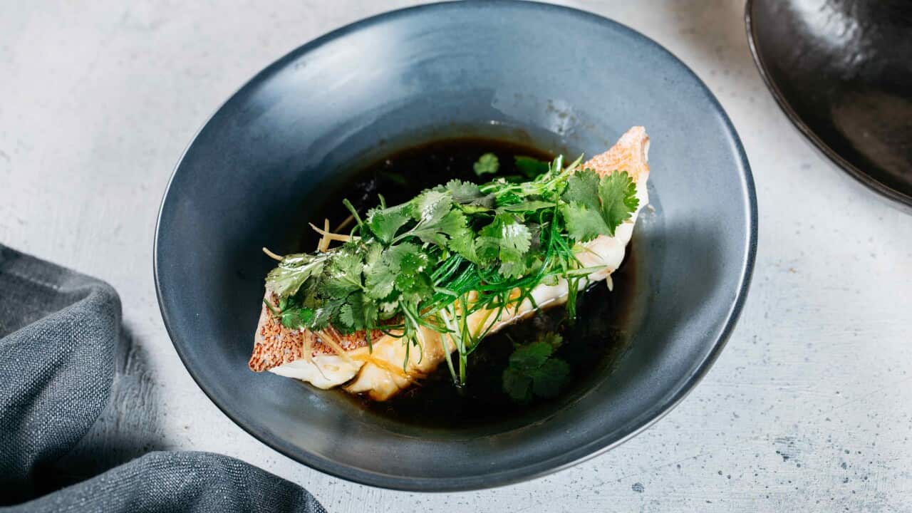 Steamed coral trout with soy, ginger and shallot