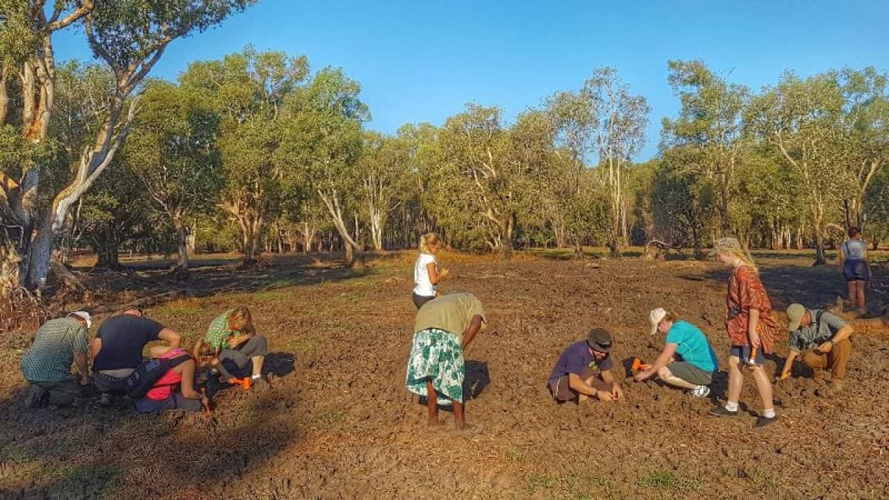 AAP Image/Department of Environment, Water, Heritage and the Arts: Kakadu Culture Camp.
