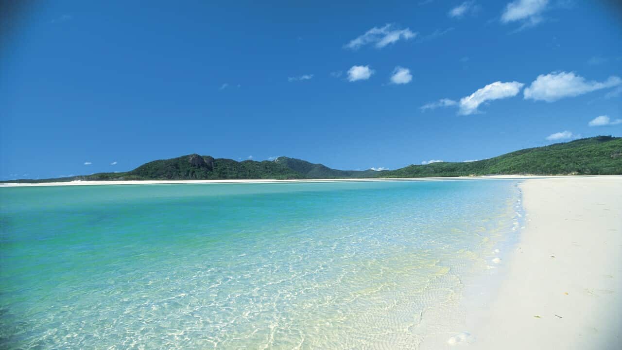 Whitehaven Beach, Whitsundays