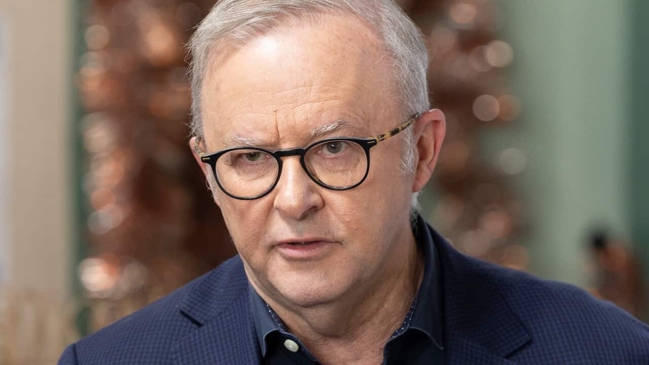Anthony Albanese