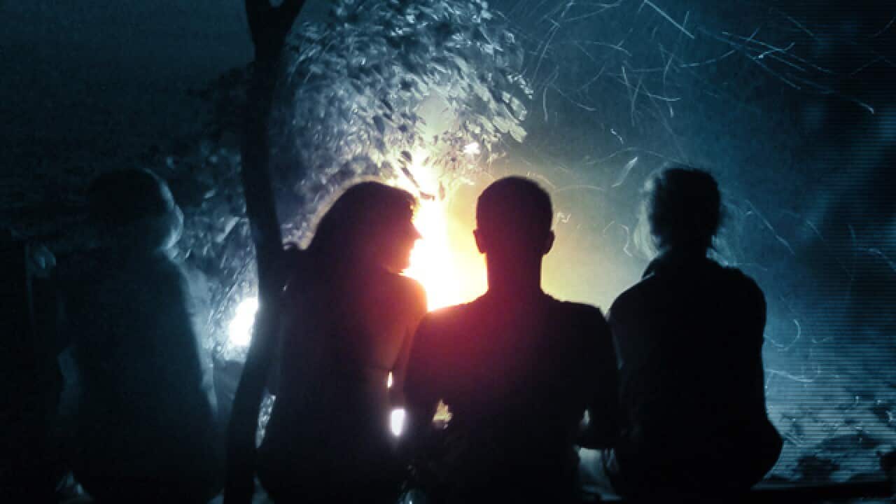 Ukraine_synevir_640_1733564936