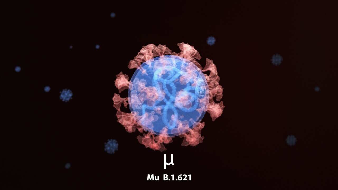 Mu Coronavirus Variant