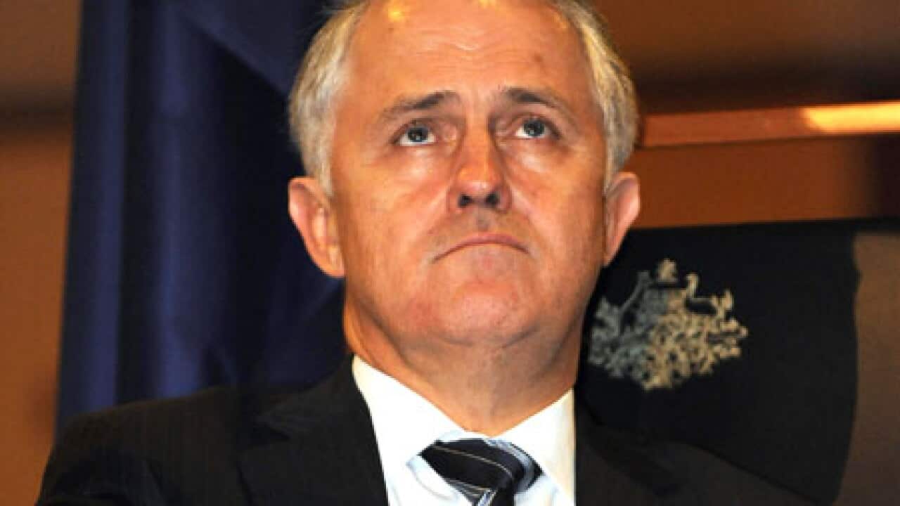 turnbull_looks_up_091127_B_getty_175713159