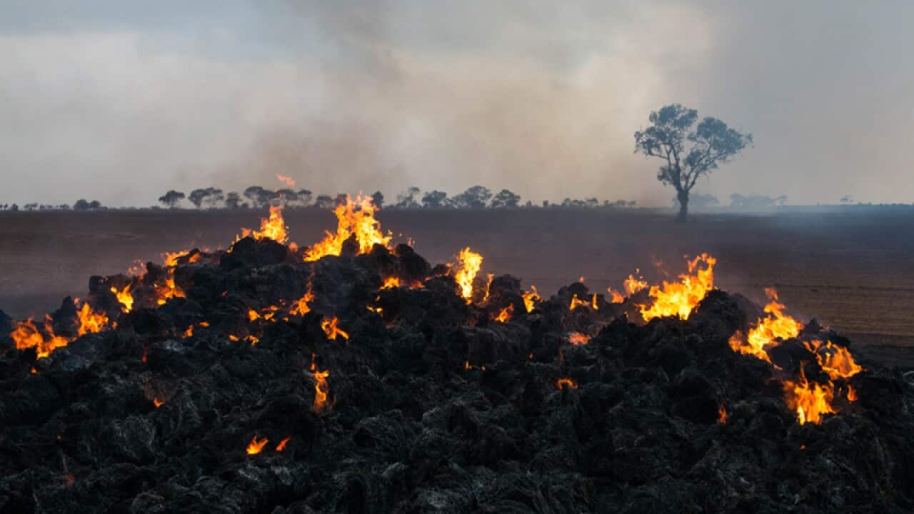 Hay burns in a paddock near Freeling.
