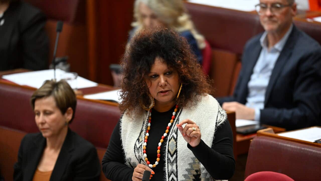 SENATE QUESTION TIME