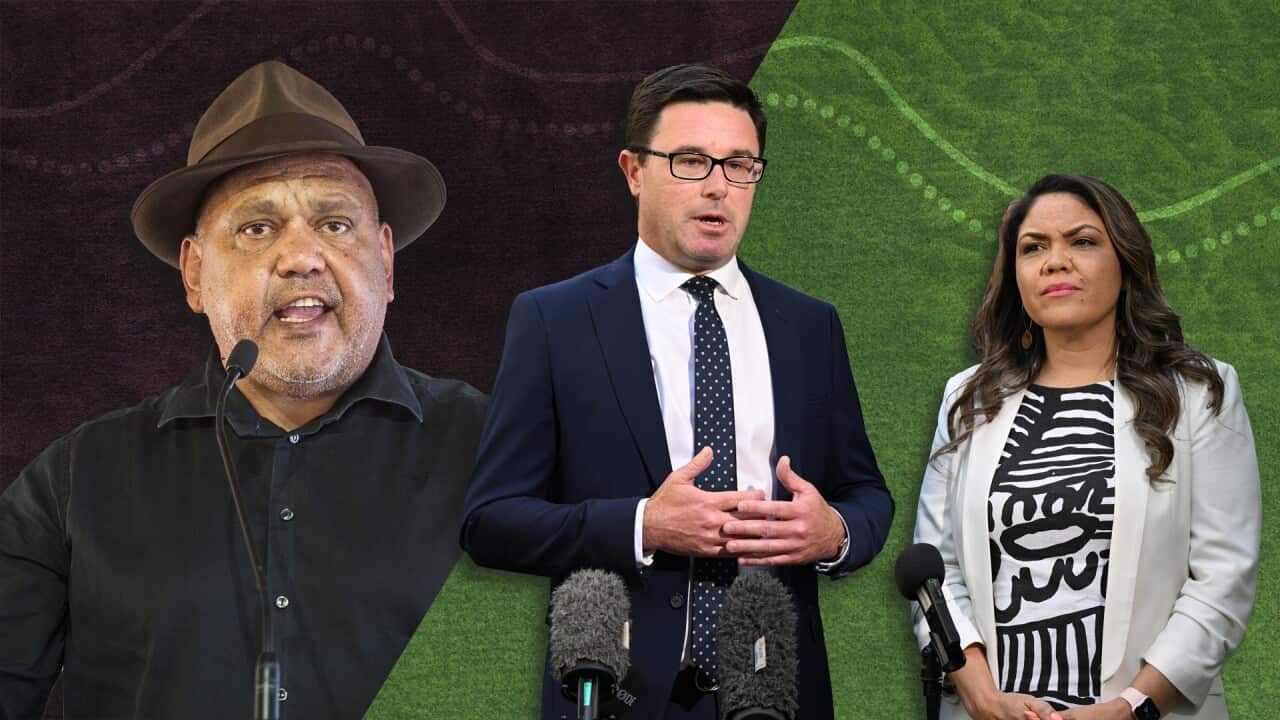 NATIONALS PARTY VOICE TO PARLIAMENT_Noel Pearson.jpg