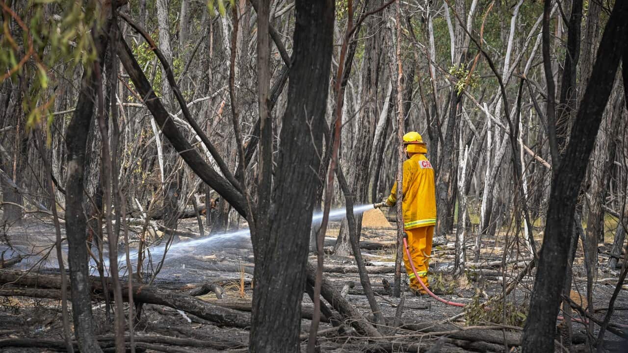 BUSHFIRES VIC