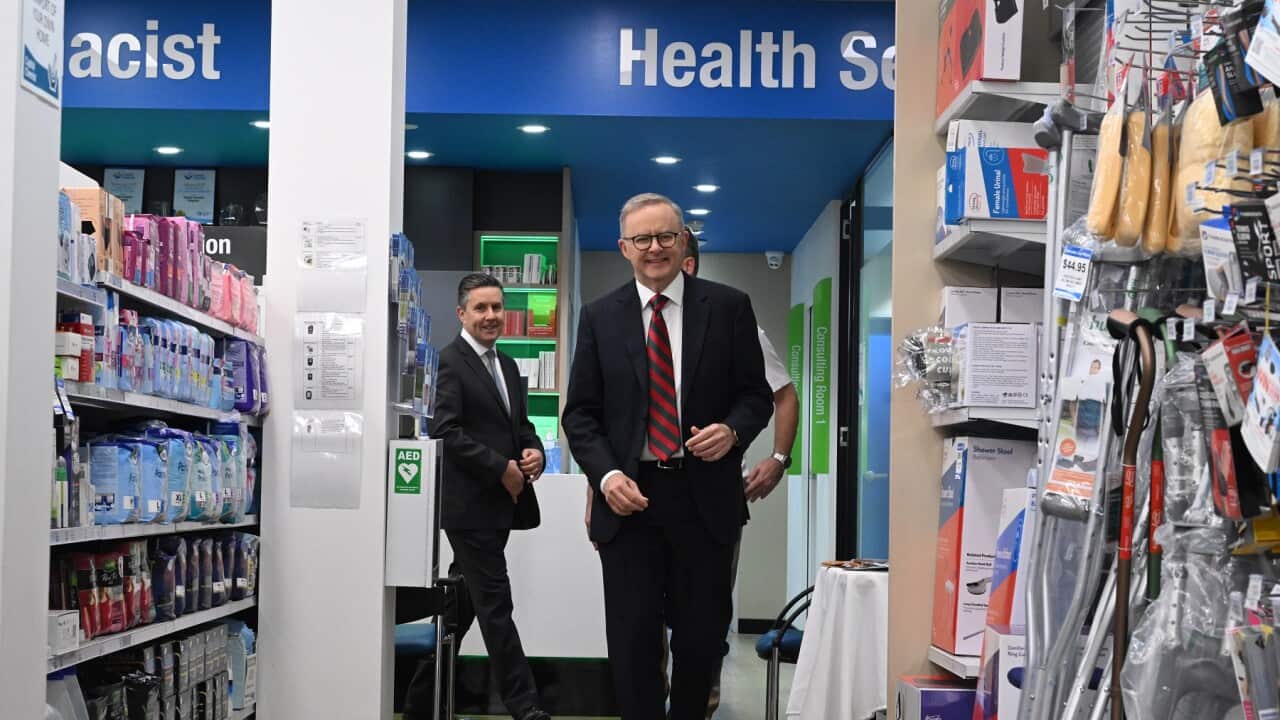 ANTHONY ALBANESE CHEMIST VISIT