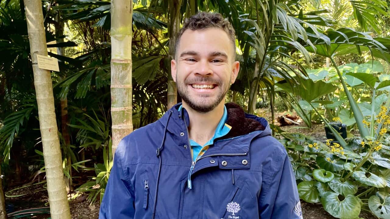 A man wearing a blue jacket standing outside in front of trees
