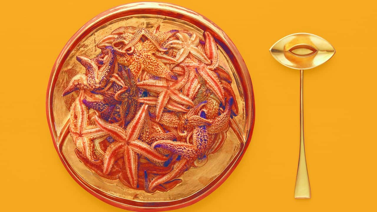 Starfish on a stick by Kirsha Kaechele and Vince Trim