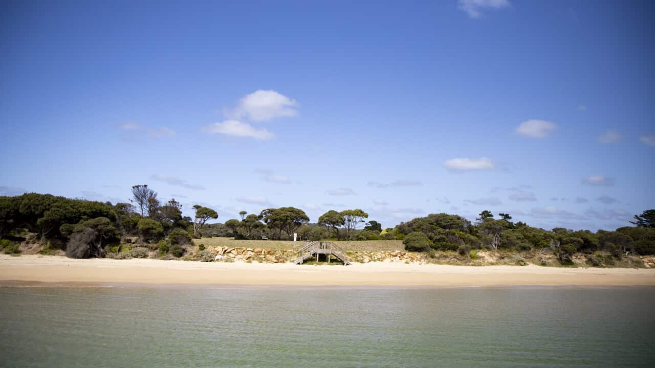 The Ngarra Jarra Noun program takes survivors on cultural healing camps on country