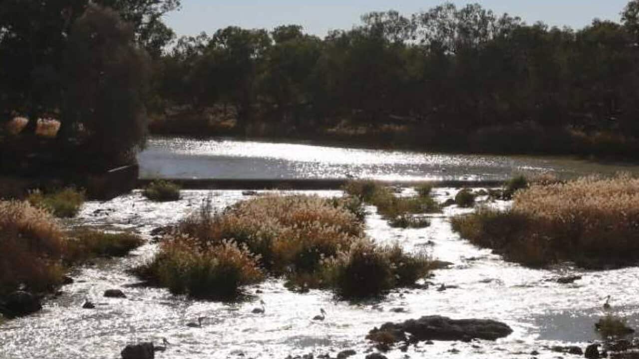 Brewarrina Weir, New South Wales 2017. 'In my own Words' launch