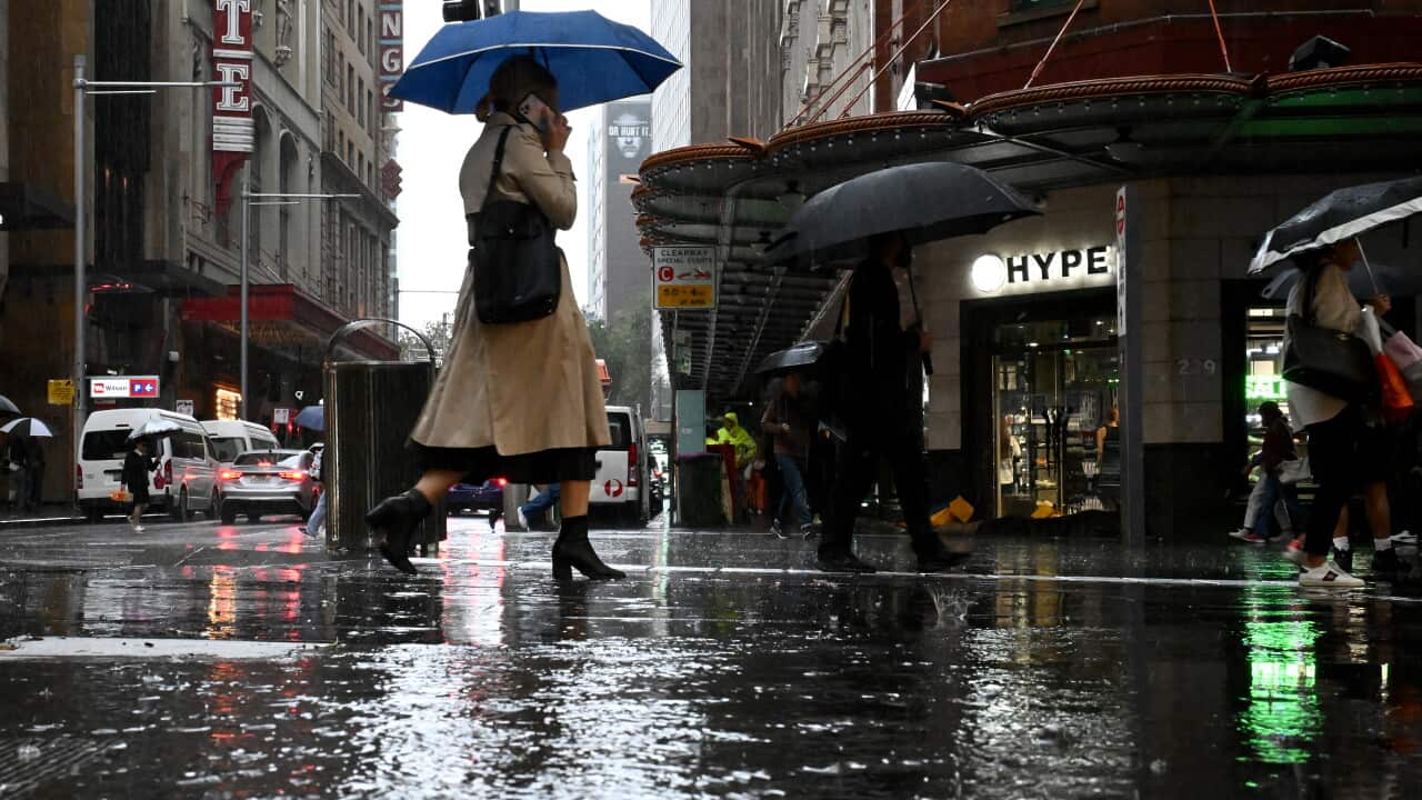 What will the weather be like in spring? Here's what the BoM predicts ...