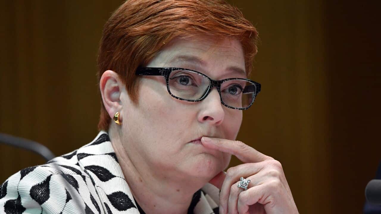 Minister for Foreign Affairs Marise Payne appears before a Senate Estimates hearing at Parliament House in Canberra, Monday, 21 October, 2019. (AAP Image/Mick Tsikas) NO ARCHIVING