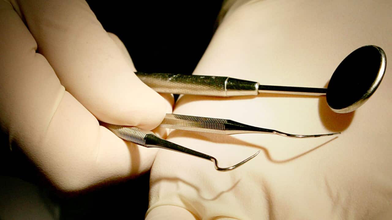 Dentist Doctor performs a routine check-up