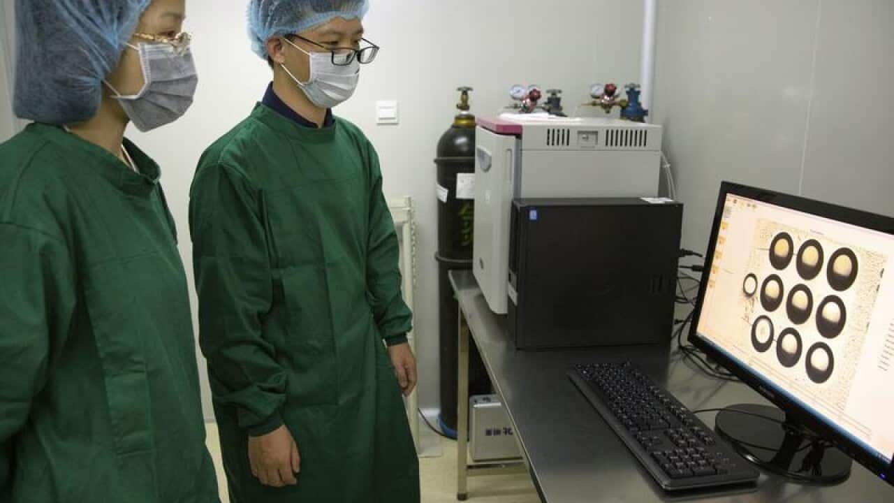 Two members of the gene-editing team