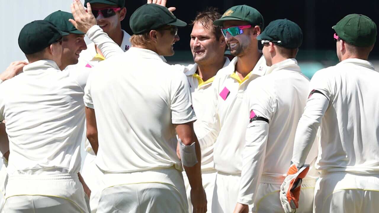 Ryan Harris celebrates the wicket of India's Virat Kohli