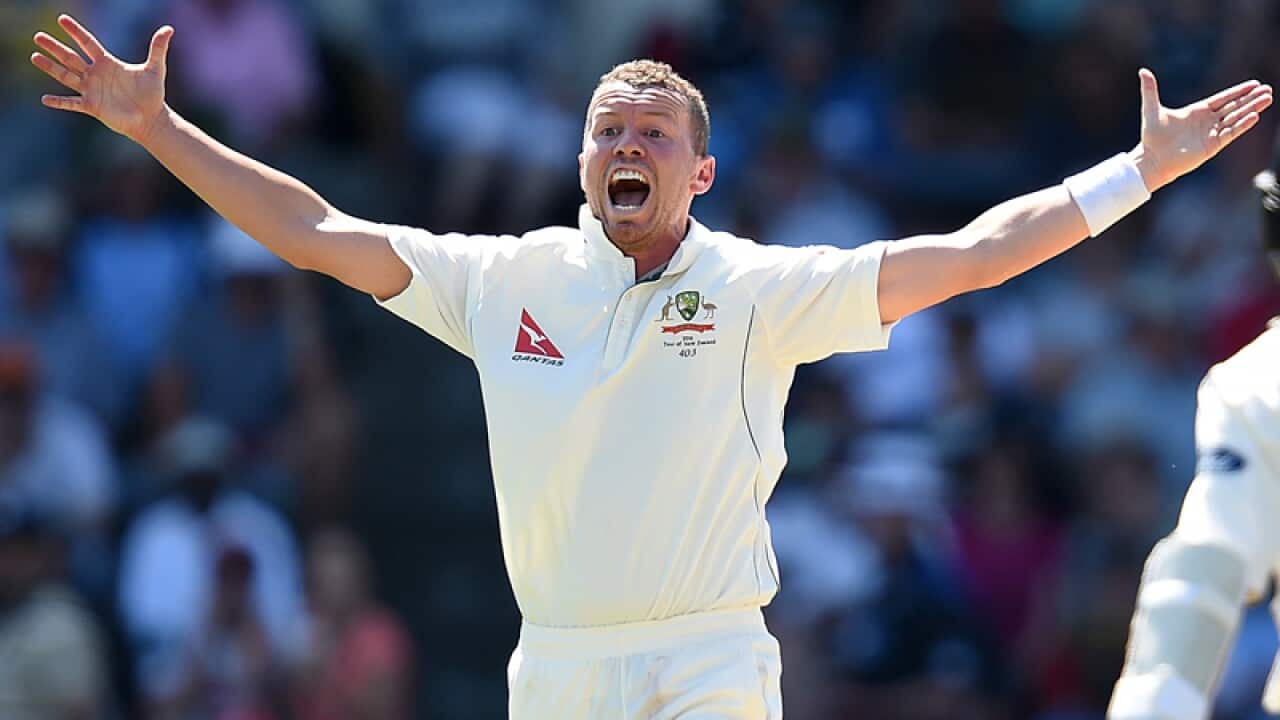 Australian bowler Peter Siddle.