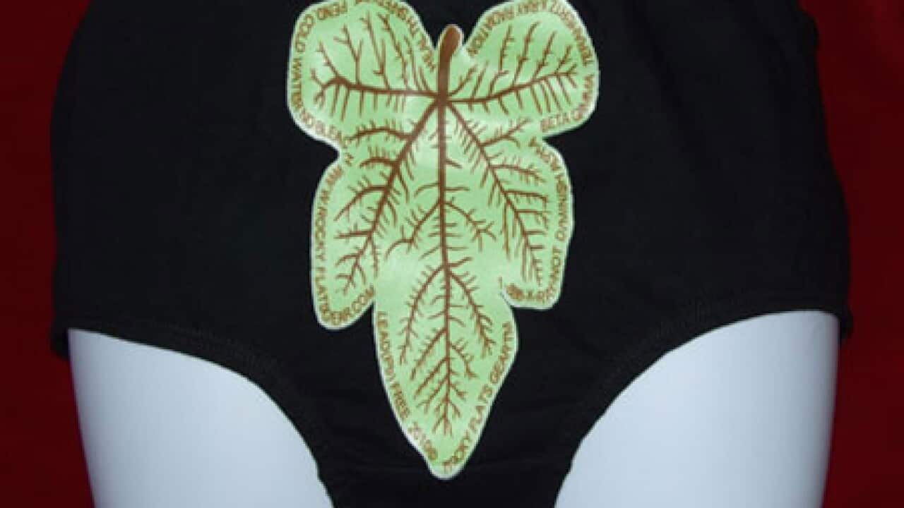 antiradiation_airport_undies_101126_B_1672219193