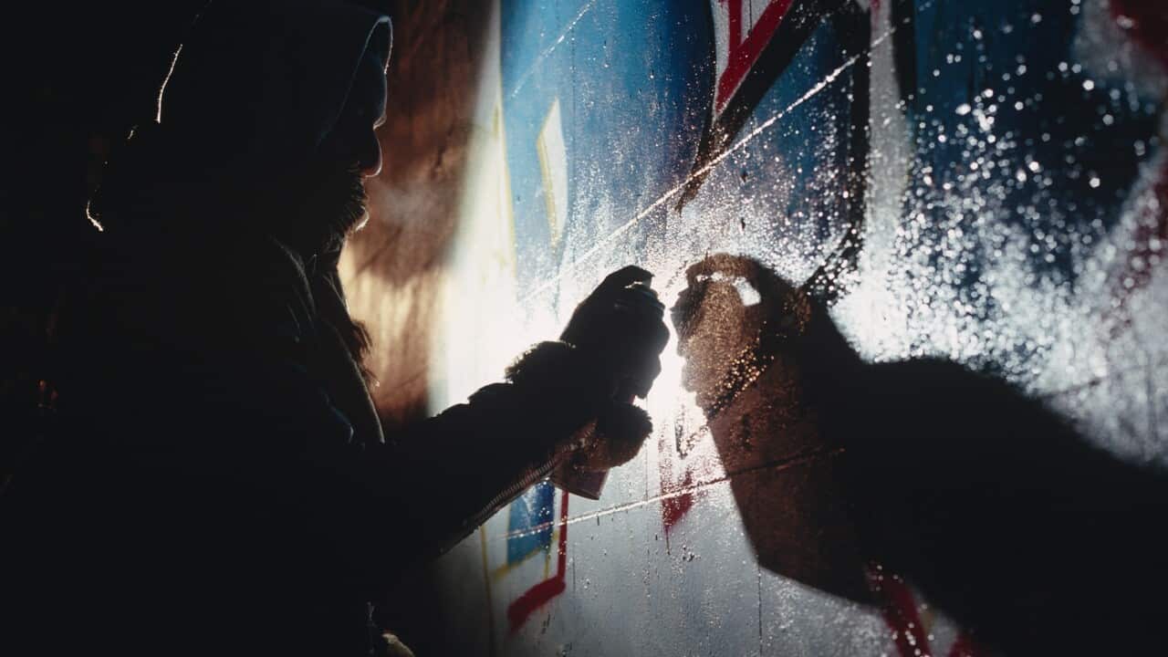 Racist coronavirus graffiti was sprayed on a Chinese-Australian family's home in Melbourne