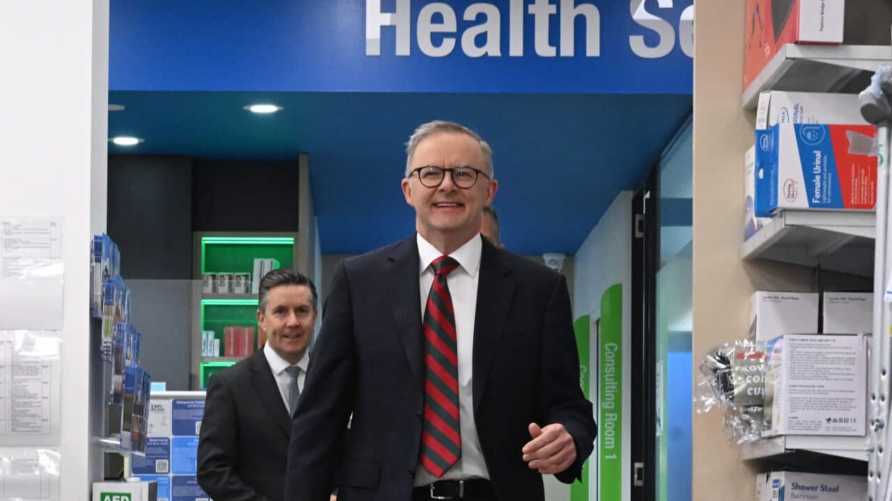 ANTHONY ALBANESE CHEMIST VISIT