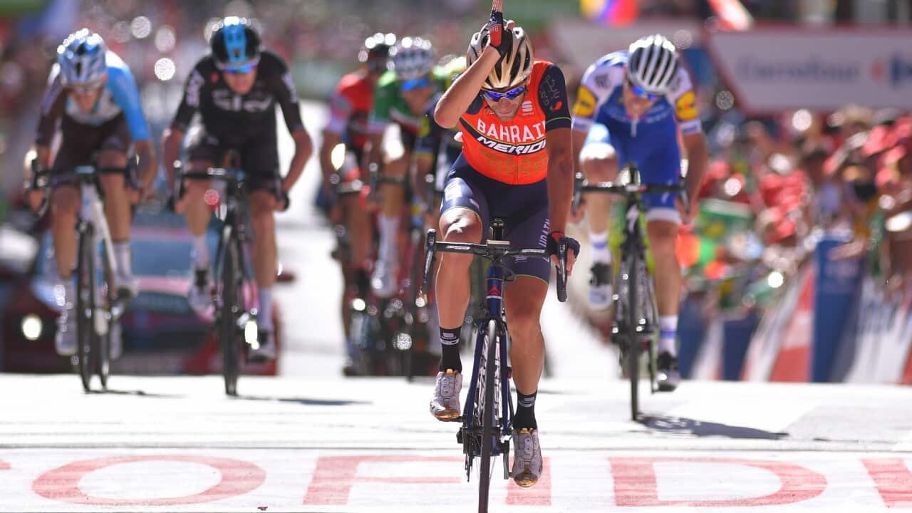 Vincenzo Nibali, Bahrain-Merida, Vuelta a España