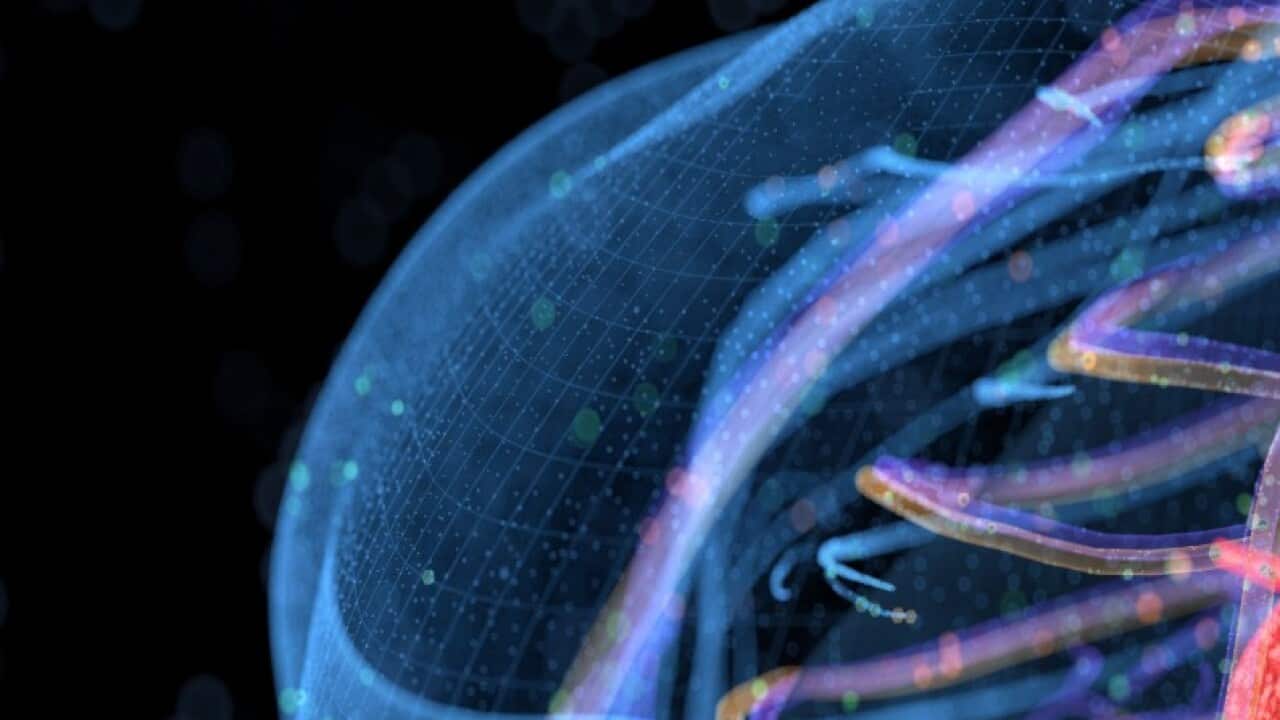 Image for read more article 'மேலும் அறிய:'