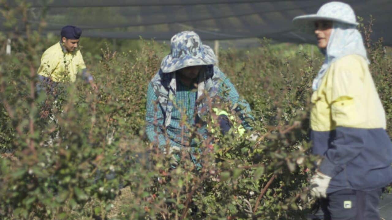 Image for read more article 'Xem thêm'