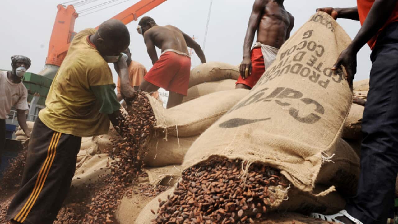 cocoa