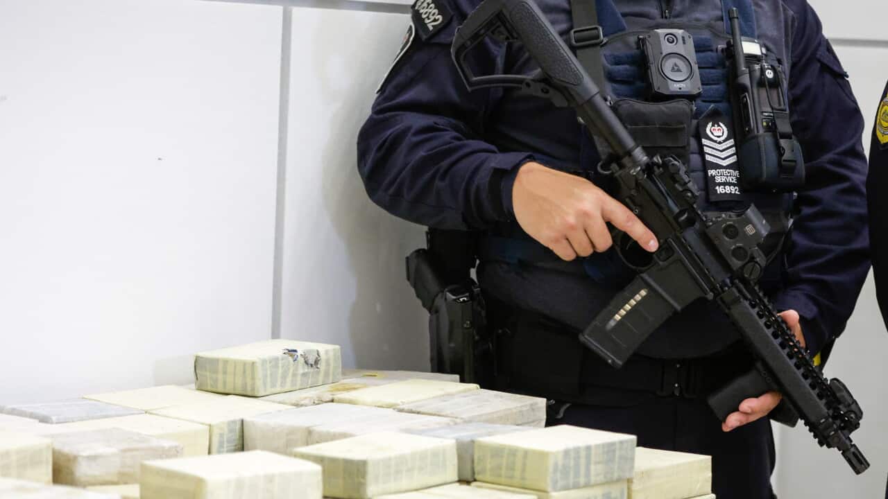 AFP ILLICIT DRUG SEIZURE - AAP