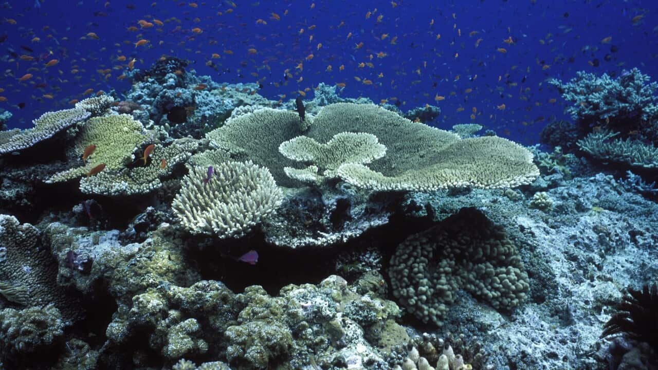Great Barrier Reef