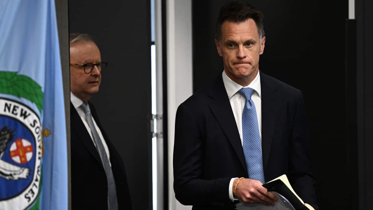 CHRIS MINNS BONDI BEACH SHOOTING