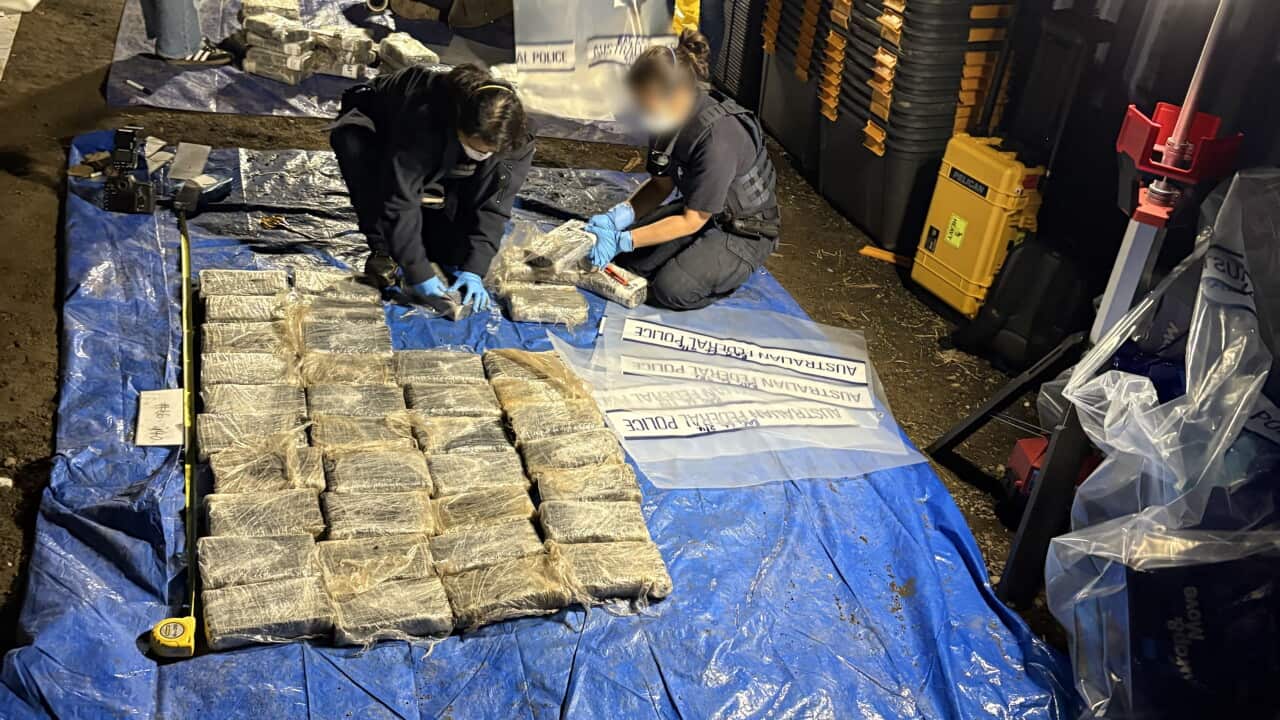 drug bust