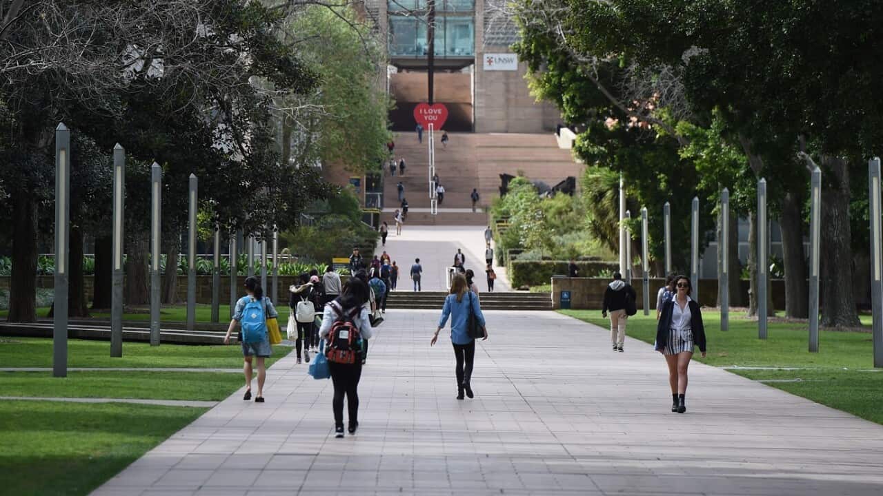 Image for read more article ''