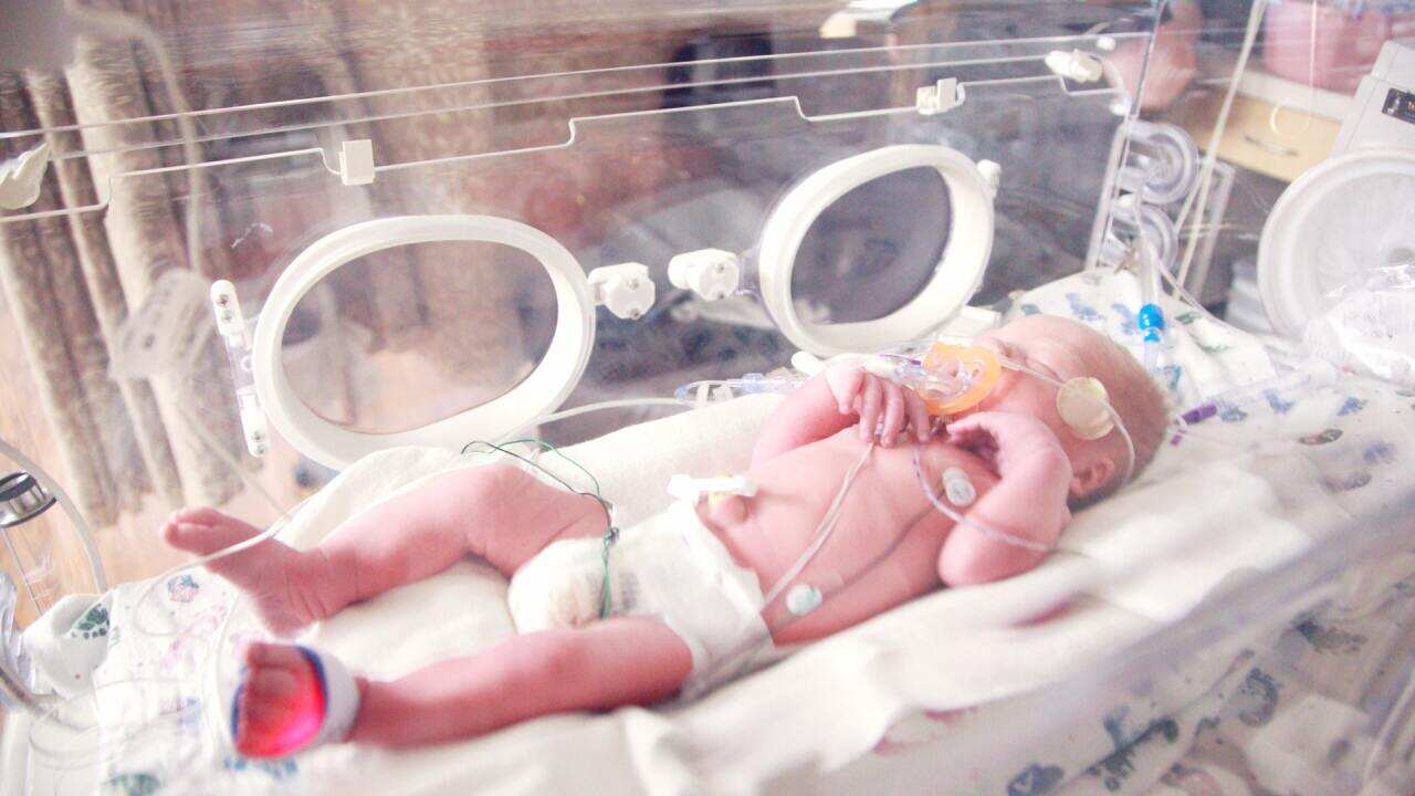 Photo by Sharon McCutcheon on Unsplash