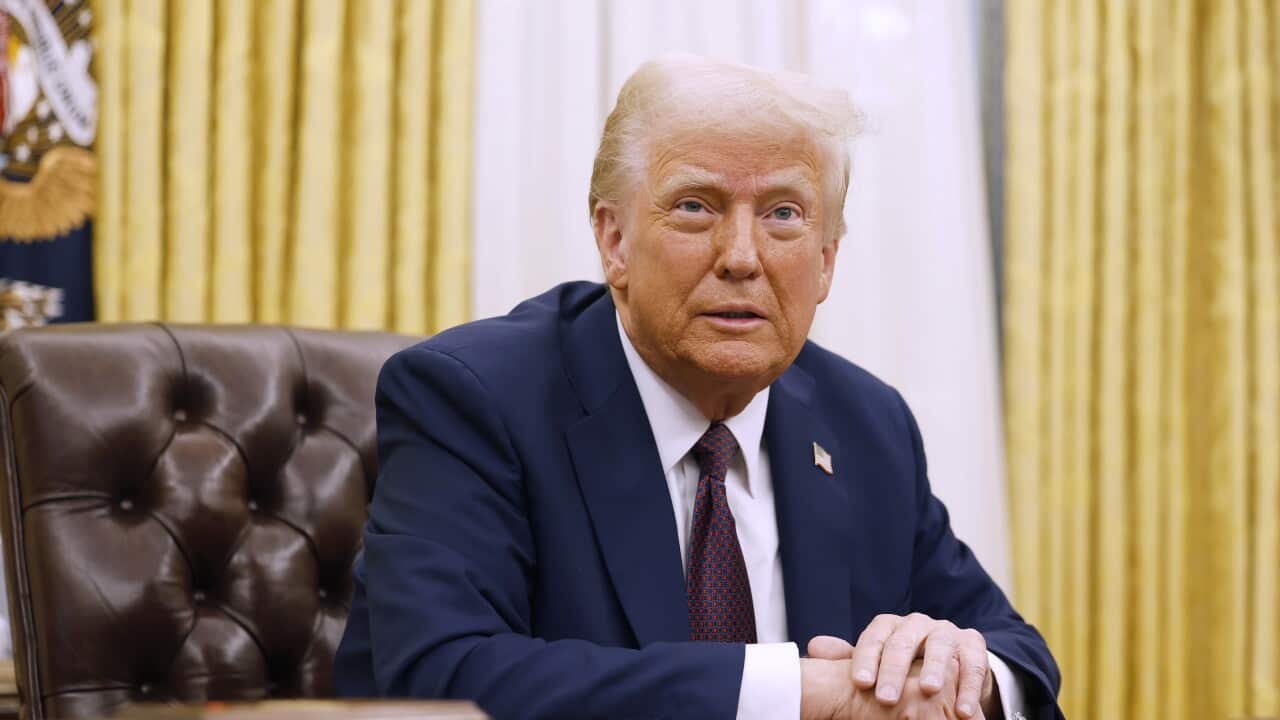 Donald Trump in the White House