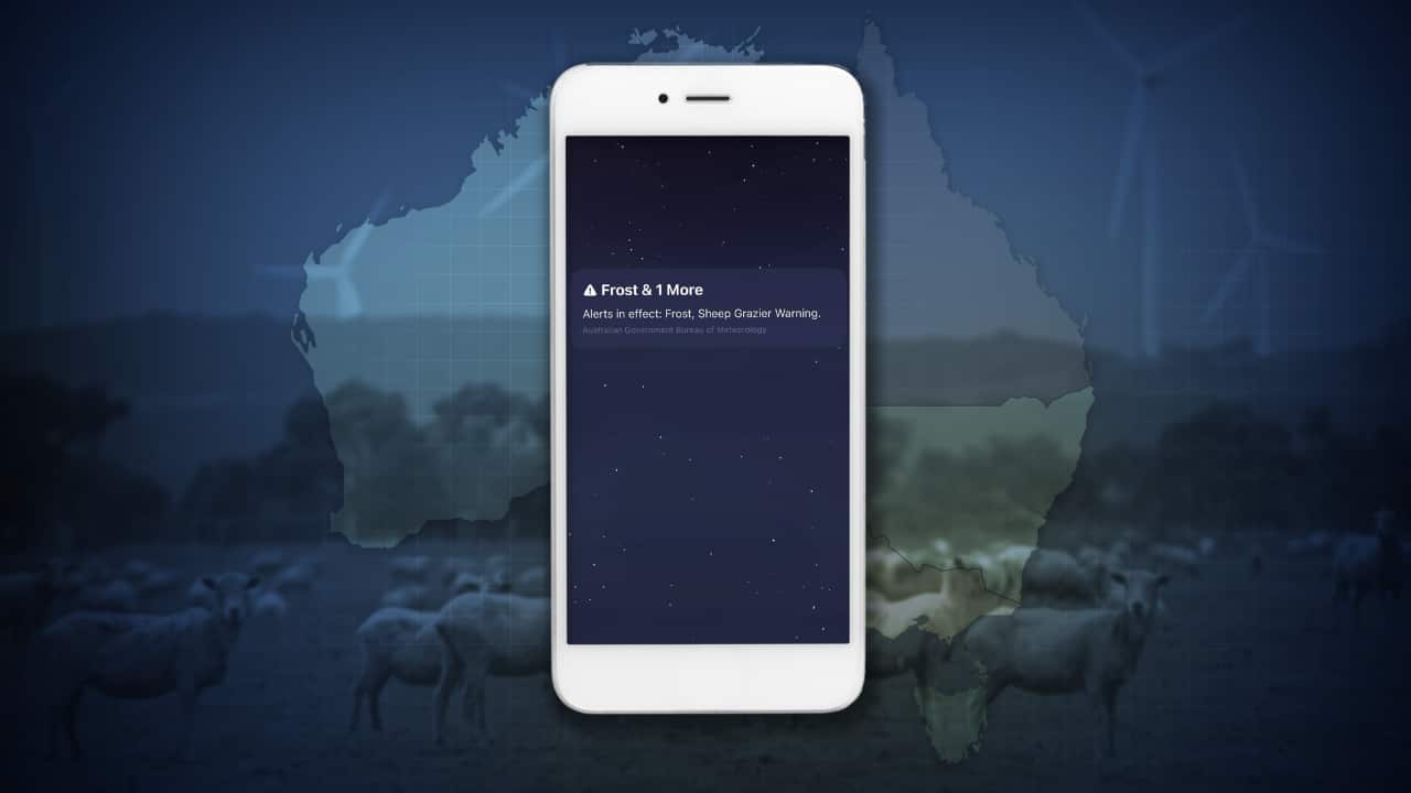 In the foreground is a smartphone with a notification that says: "Alerts in effect: Frost, Sheep Grazier Warning". It is set against a map of Australia and in the background is a paddock with sheep.