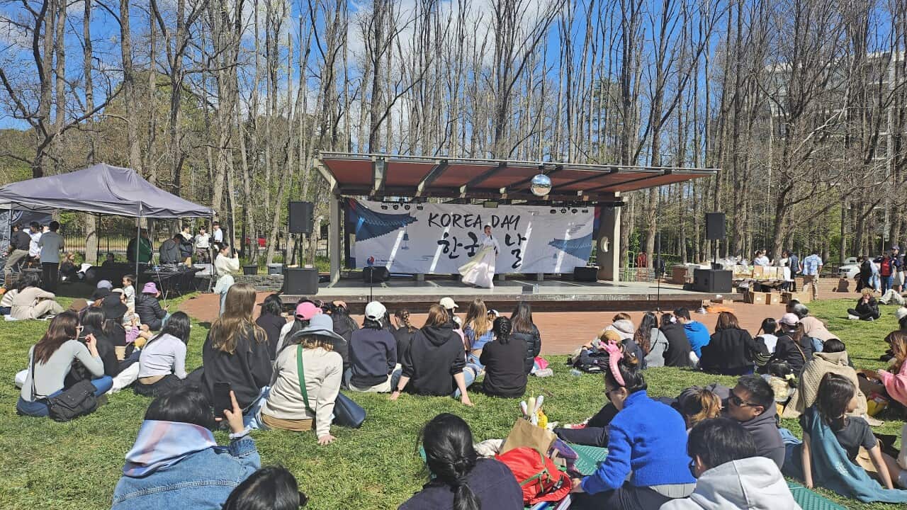 Image for read more article 'READ MORE'