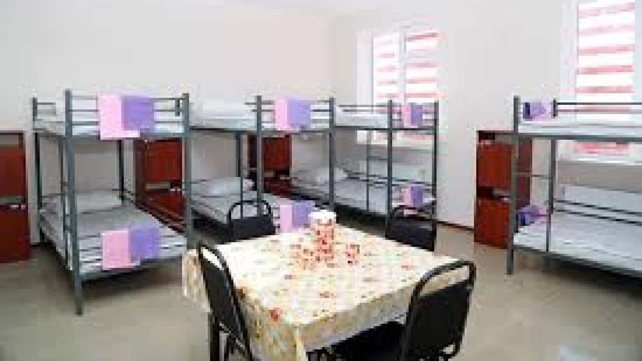 Sydney shelter Kiki Paul