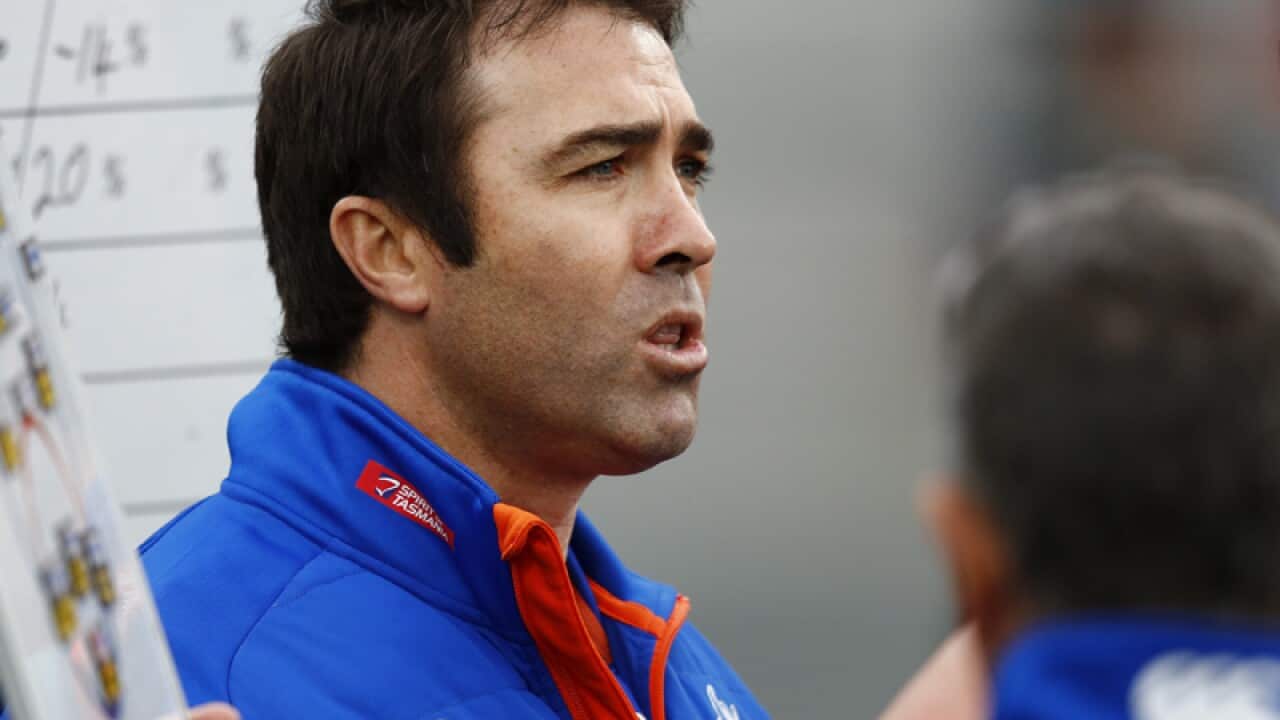 North Melbourne Kangaroos coach Brad Scott