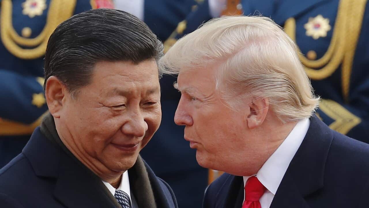 President Donald Trump meets with Chinese President Xi Jinping in Beijing. November 9, 2017.