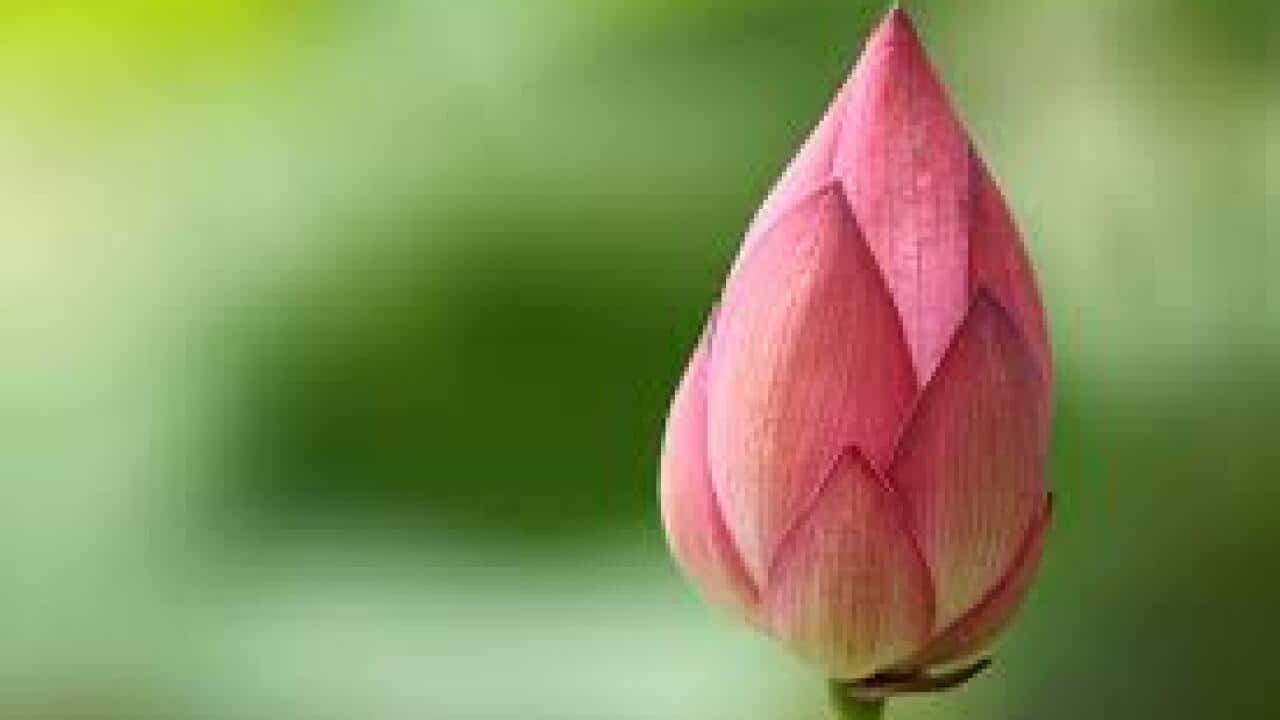 Join Opposition Party received a new name.