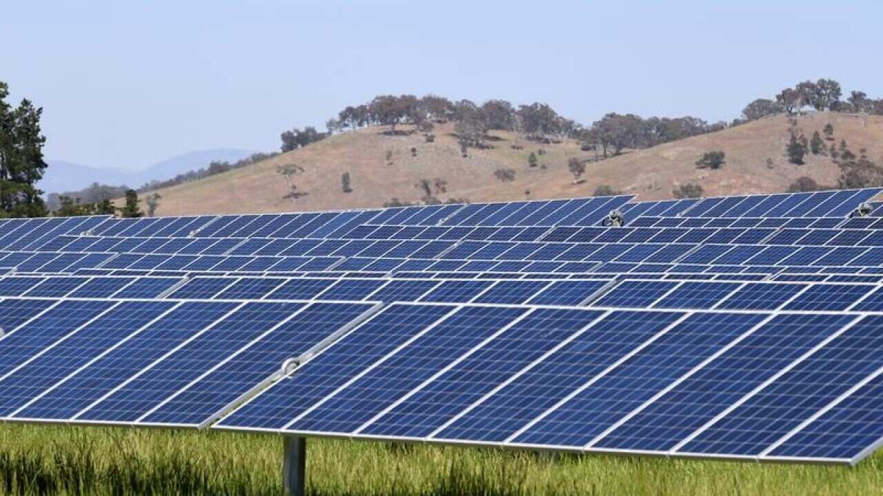 A solar farm