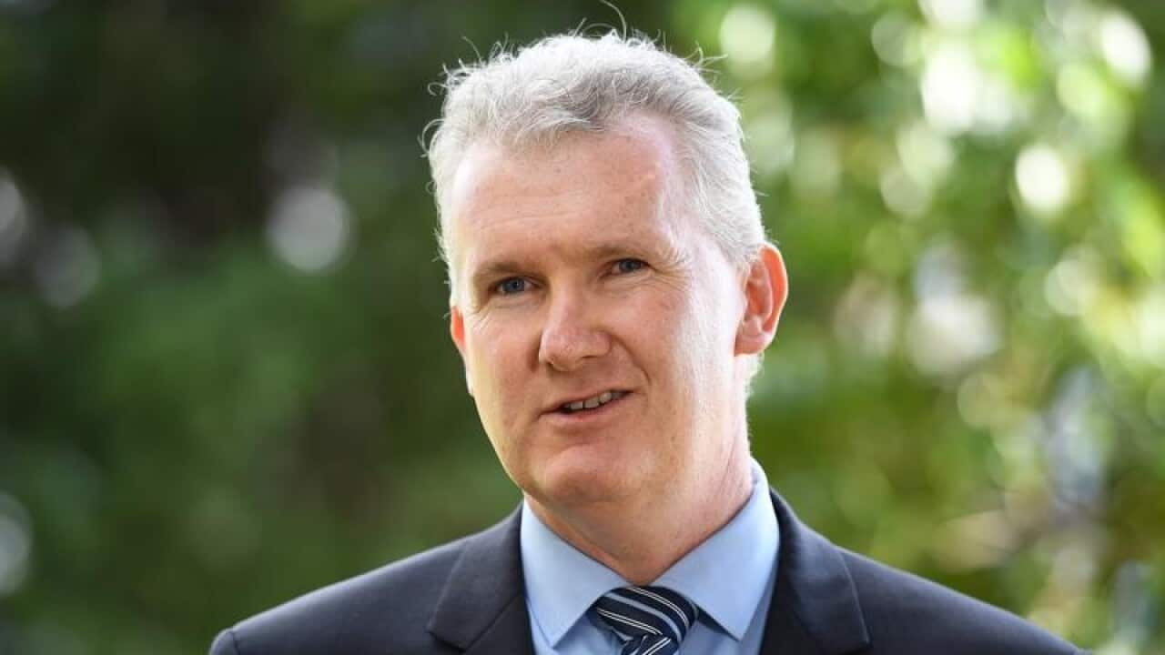 Labor fears cashless welfare cards will just make life tougher for those already struggling.