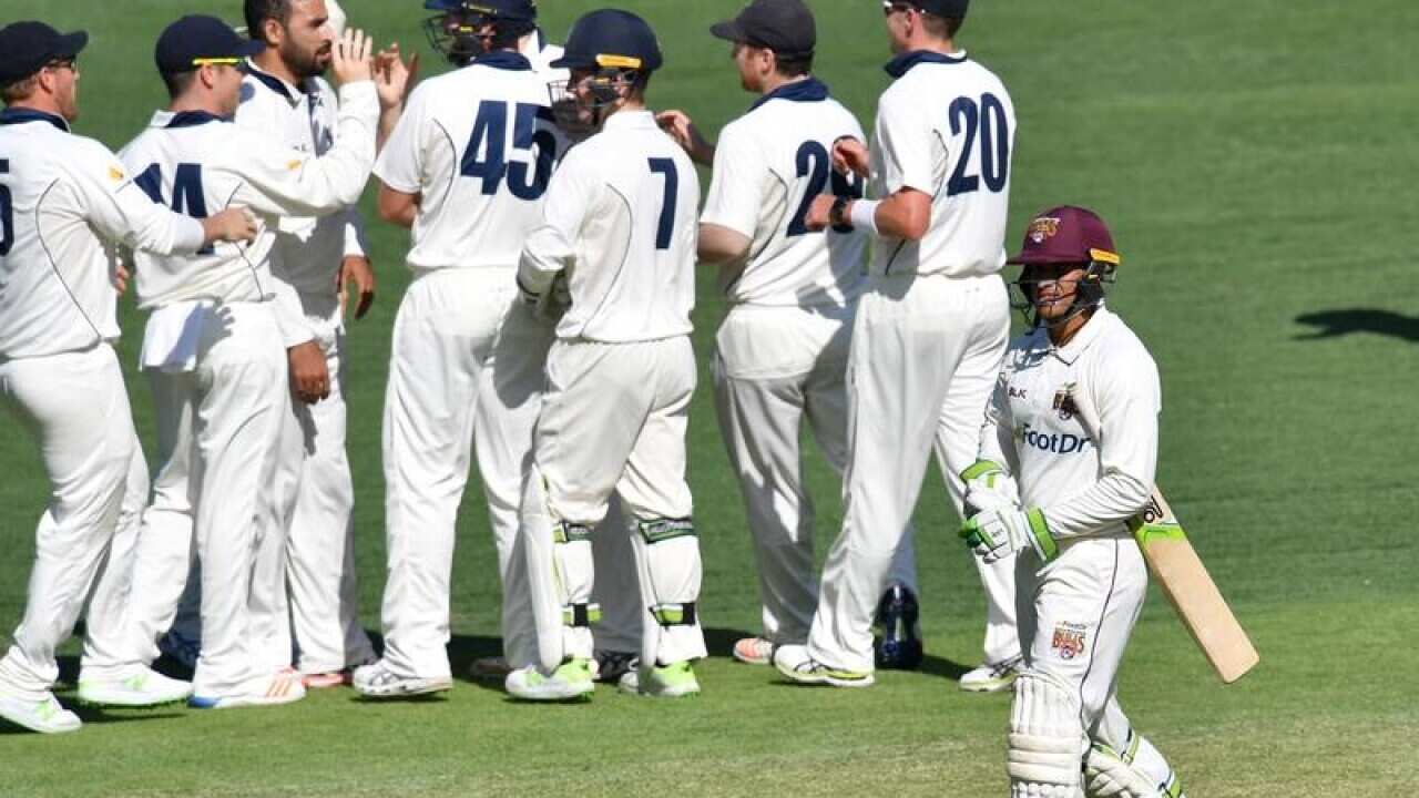 cricket